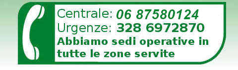 Chiamata per assistenza caldaia a Roma
